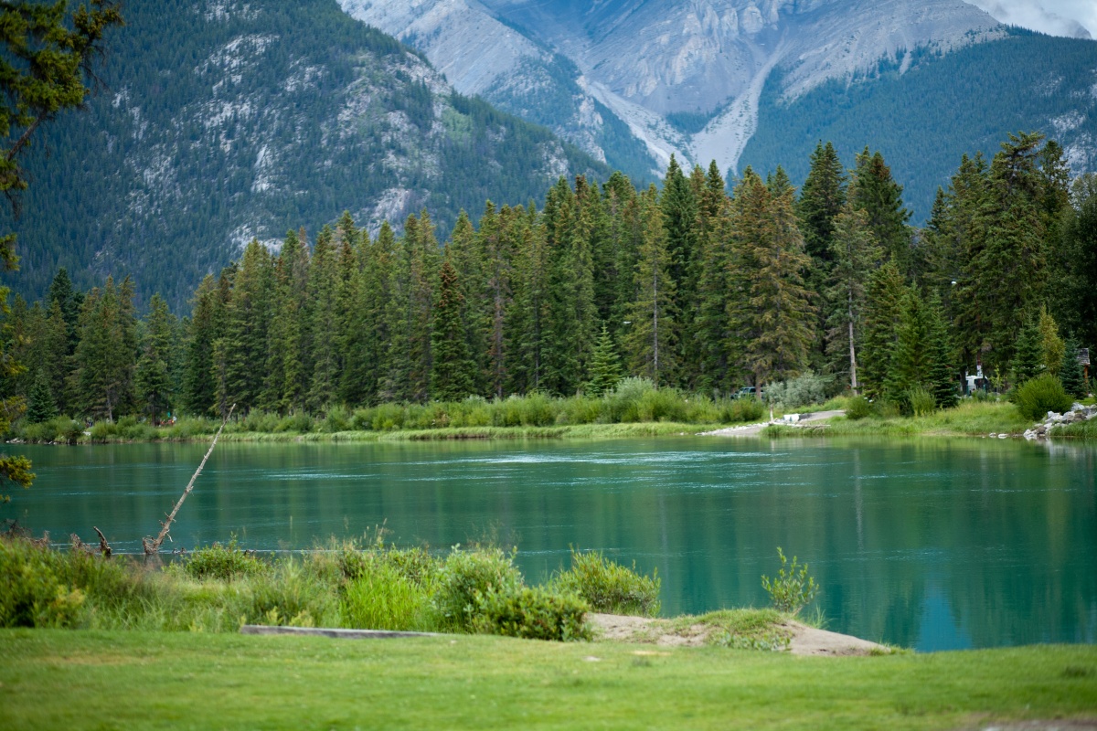 Кадры из Люблю твою жену (2013)