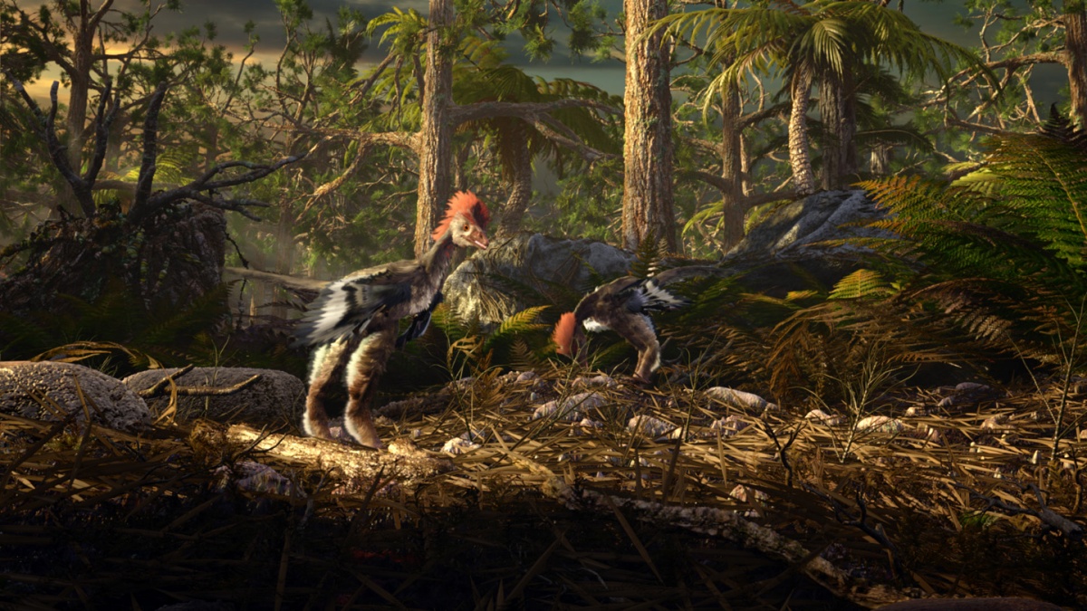 Кадры из Восстание животных: Триумф позвоночных (2013)