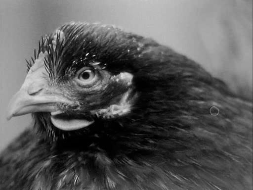 Свадебная ваза (1975)