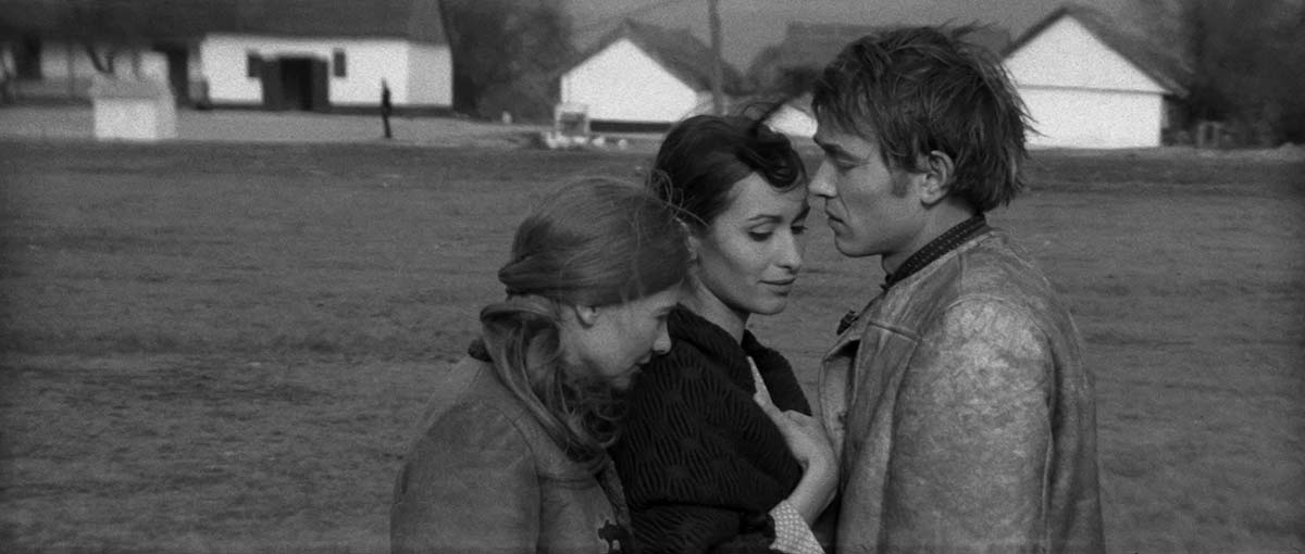 Кадры из Тишина и крик (1968)