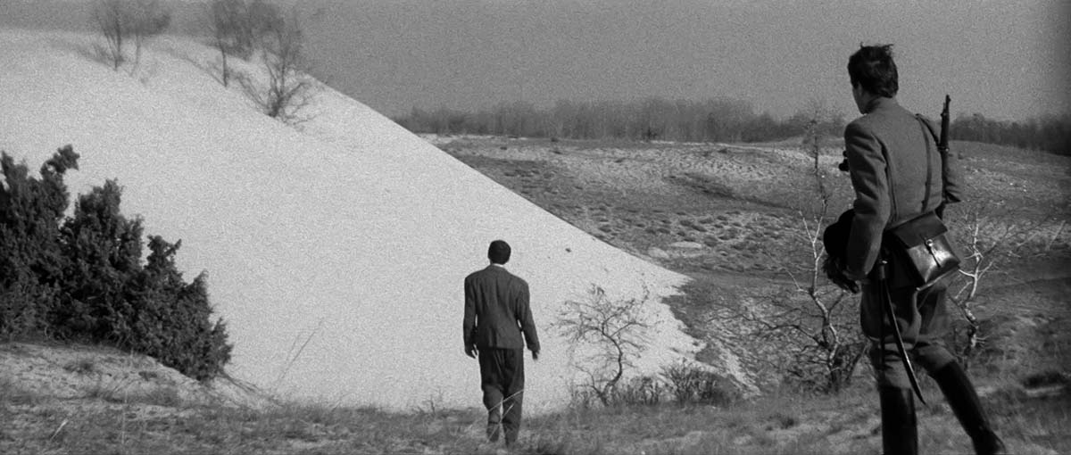 Кадры из Тишина и крик (1968)