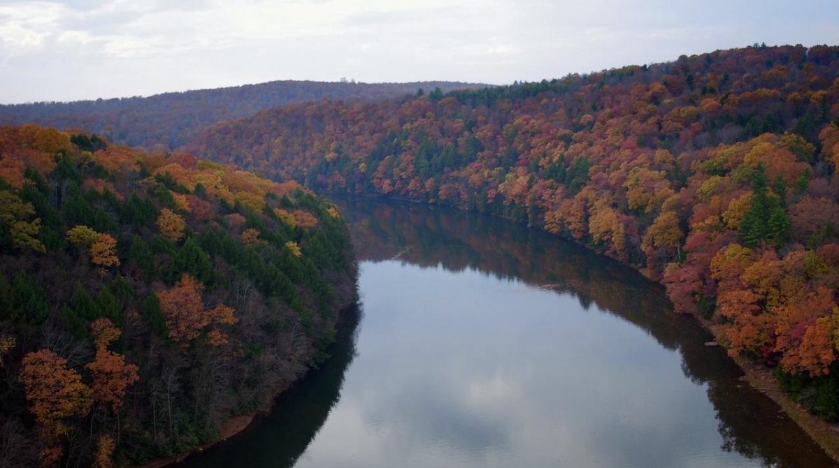 Кадры из Бойся (2017)