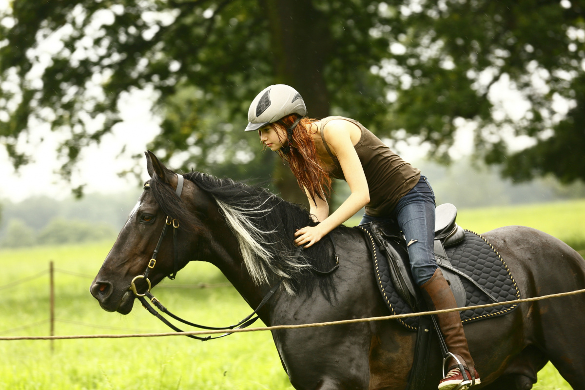 Оствинд / Восточный ветер (2013)