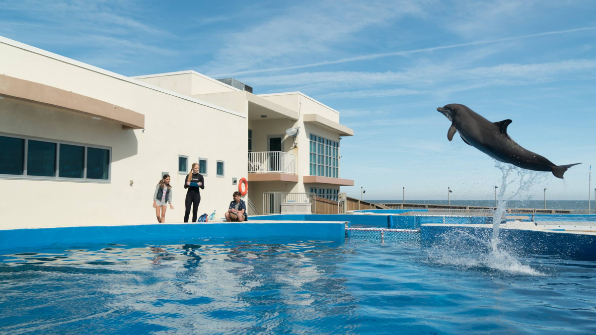 Кадры из Дельфин Берни (2018)