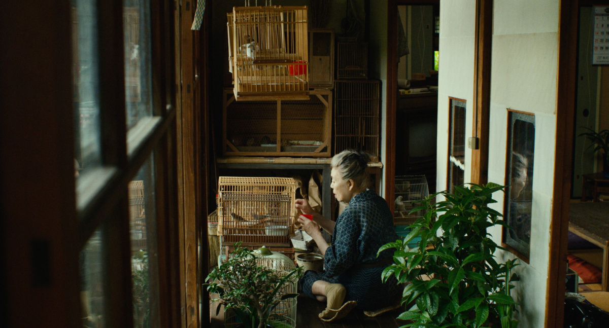 Место, где живёт Мори (2018)