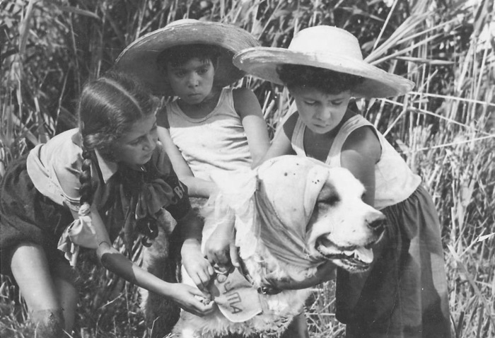 Кадры из Тайна горного озера (1954)