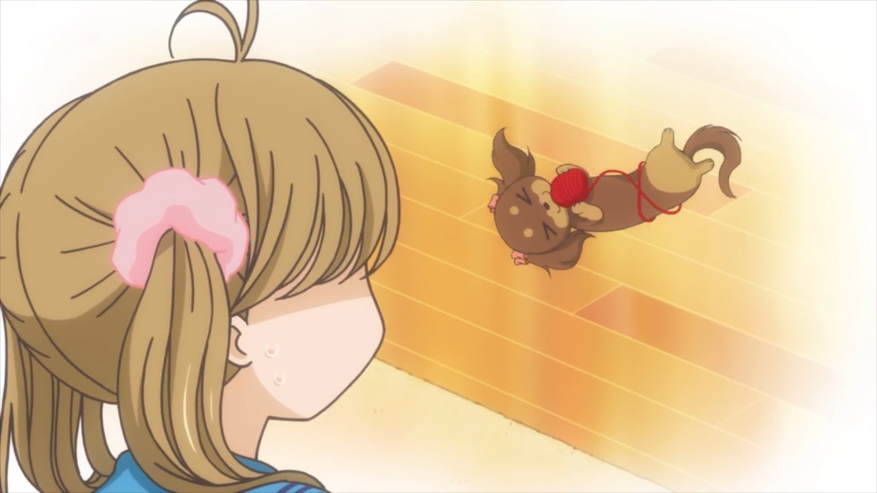 Кадры из Чокотан! (2013)