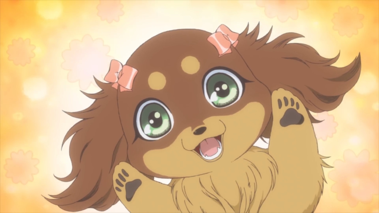 Кадры из Чокотан! (2013)