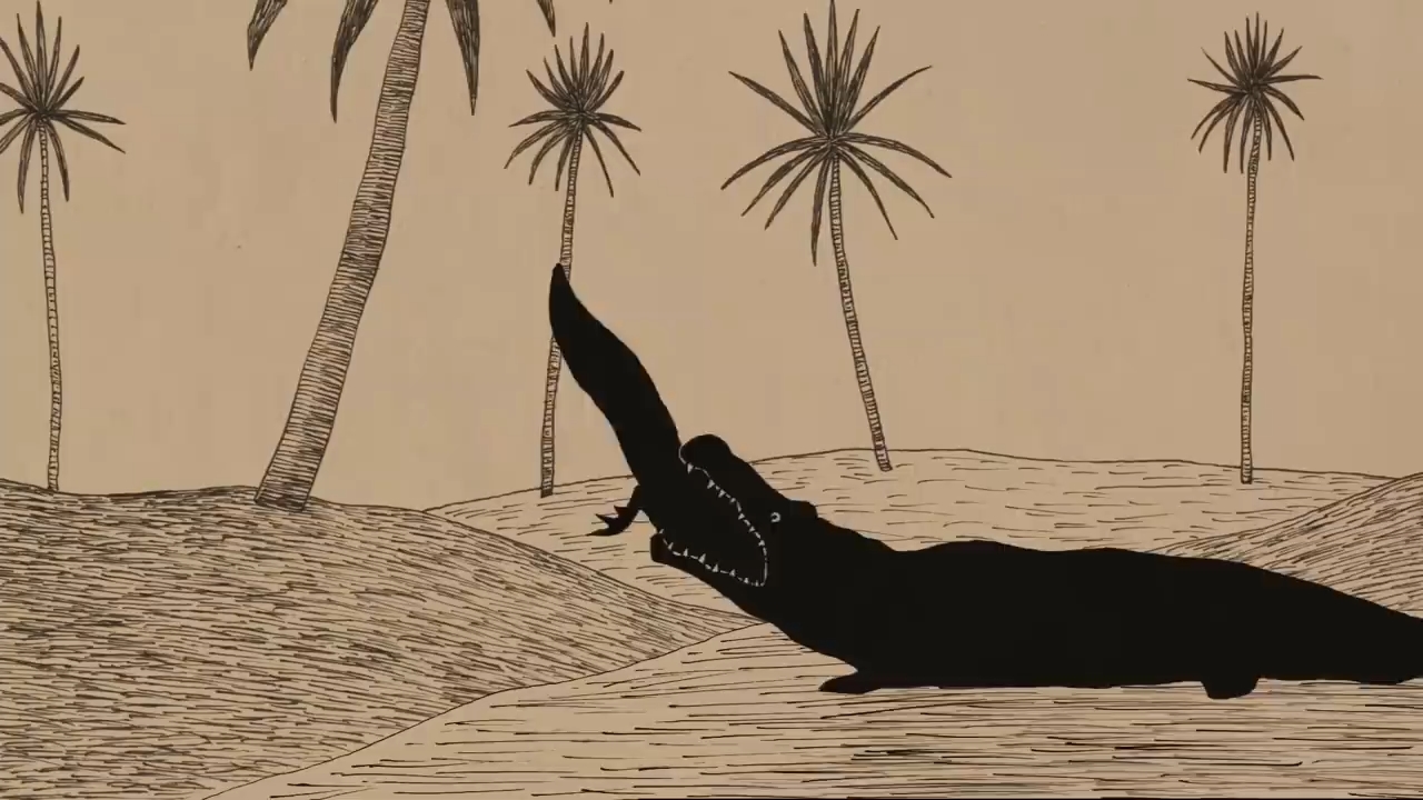 Старый крокодил (2005)