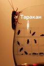 Смотреть Таракан на HDrezka онлайн в HD качестве 720p