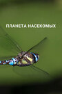 Смотреть Планета насекомых на хдрезка онлайн в HD качестве 720p