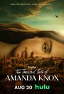 Смотреть Запутанная история Аманды Нокс на HDrezka онлайн в HD качестве 720p