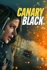 Смотреть Досье «Чёрная канарейка» онлайн в HD качестве 