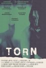 Смотреть Торн на хдрезка онлайн в HD качестве 720p